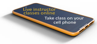 Live instructor classes online